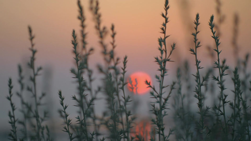 Soundscape_Humming breath